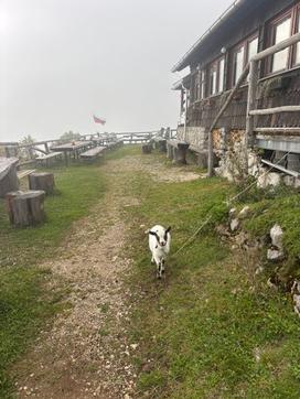 Žiga Papež, šesti dan