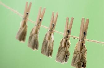 Črni čaj za sijoča tla