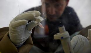 Kako se z ebolo spopada Evropa