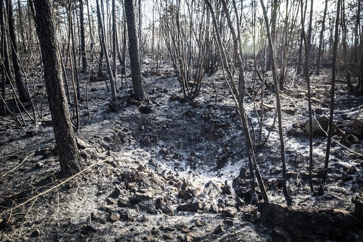 Pepel in razdejanje – 35 kvadratnih kilometrov Krasa je spremenjenih v pogorišče. | Foto: Bojan Puhek