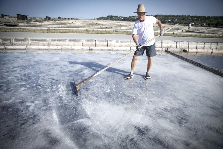 Julijsko deževje je pokvarilo načrte sečoveljskim solinarjem. Vseeno ocenjujejo, da bodo pridelali več kot tisoč ton soli.   | Foto: Ana Kovač