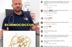 Slovenski veterinar svari pred pasjimi poljubčki