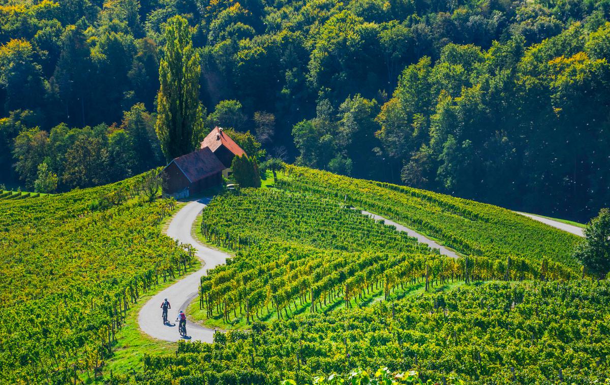 vinorodna štajerska | Foto Srce med vinogradi, Arhiv slovenia.info