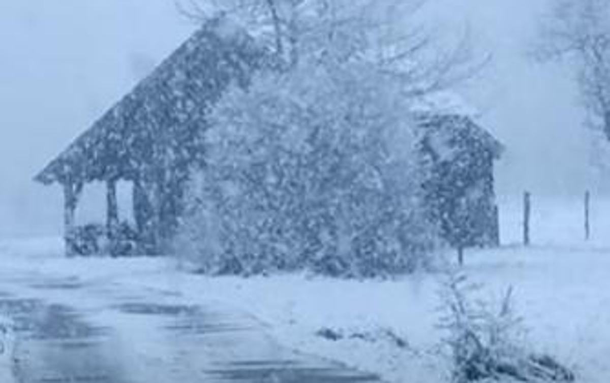sneg, Bled | Foto TopFoto Neurje/Miha Zurer/Facebook