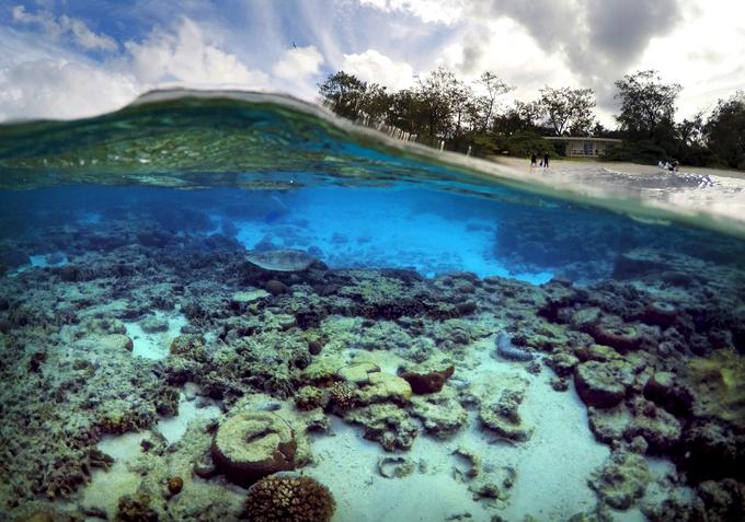 Eko Resort, otok Lady Elliot, Australia.   | Foto: Reuters