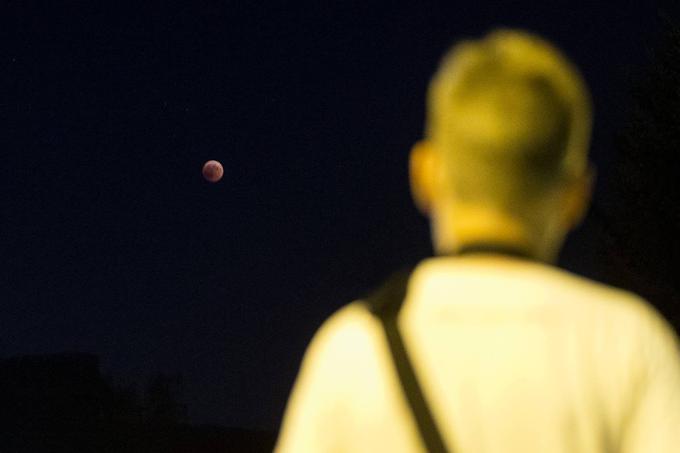 Lunin mrk, opazovanje, mrk | Foto: Ana Kovač