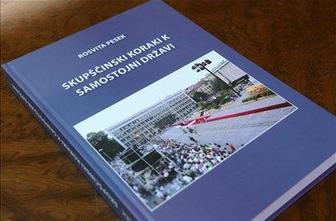 Bučar: Soočamo se z mankom v analizi preteklosti 