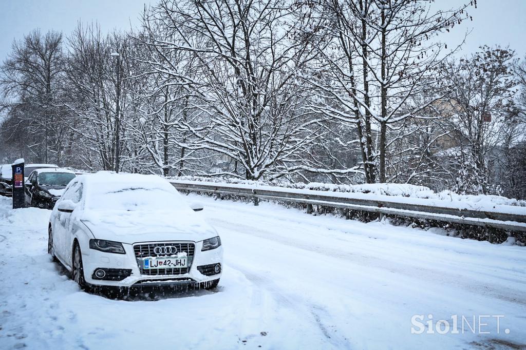 Sneg v Ljubljani