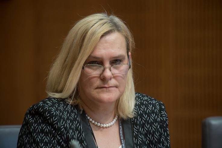 Darja Radić, nekdanja gospodarska ministrica | Foto: STA