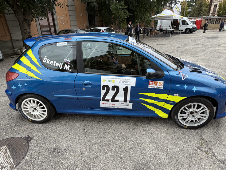 Med hitrimi dekleti je bila letos na gorskih dirkah najbolj konstantna Maja Šketelj (peugeot 206). | Foto: Gregor Pavšič