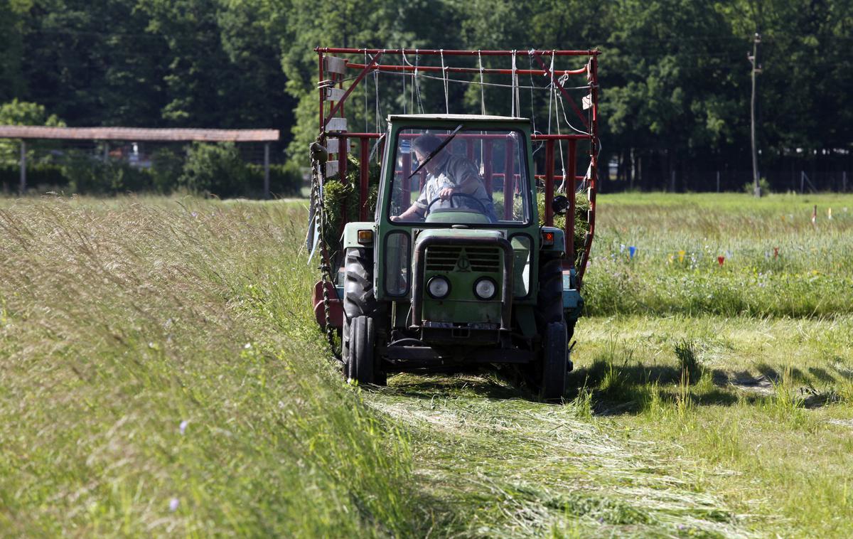 traktor | Namen ukrepa je podpreti mikro, majhna in srednje velika podjetja, ki opravljajo dejavnosti predelave ali trženja kmetijskih proizvodov. | Foto STA