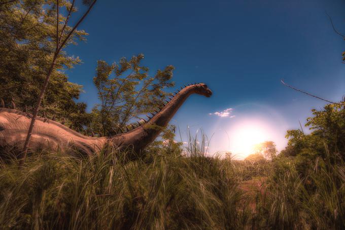 Pojav velikih brontozavrov, največjih in najvišjih dinozavrov, ki so se radi spravili nad drevesne krošnje, je bil takrat oddaljen še skoraj 200 milijonov let.  | Foto: Thinkstock