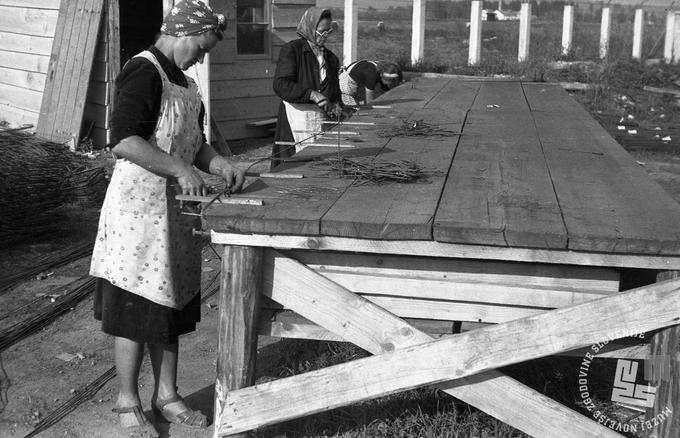 Krivljenje železa, 6. oktober 1946. | Foto: Viktor Kramar, hrani: MNZS