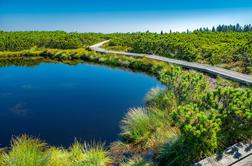 Ideja za izlet: eden najbolj posebnih kotičkov Štajerske