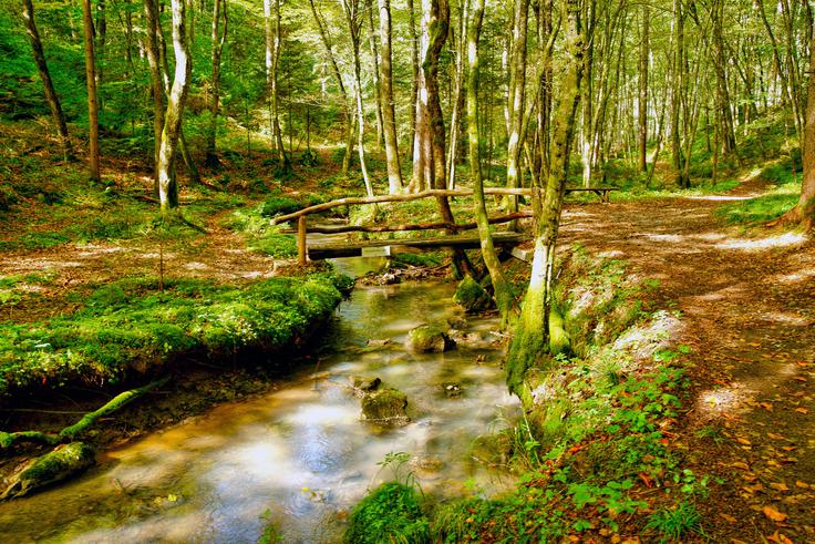 Dolenjska Machova pot | Foto: Društvo Machova dediščina pod Gorjanci