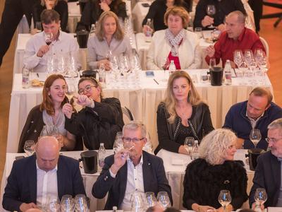 Dobrodelni rekord: za liter chardonnayja iz koprske kleti iztržili 135 evrov