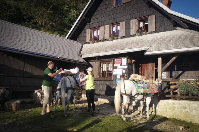 Januarja so zaloge hrane do Roblekovega doma prepeljali s konji, zdaj pa morajo to storiti peš, oprtani s težkim nahrbtnikom. | Foto: Alenka Teran Košir
