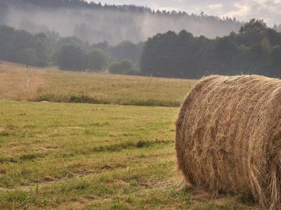 Na Vipavskem ob kurjenju bal sena zanetil požar in končal v bolnišnici