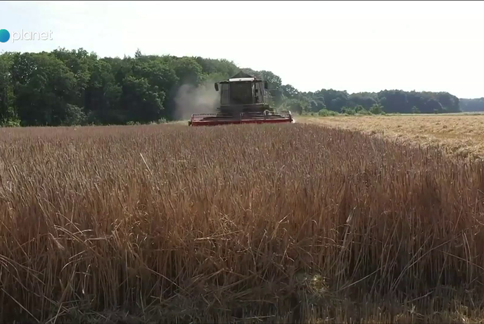 Kako samooskrbna pravzaprav je Slovenija?
