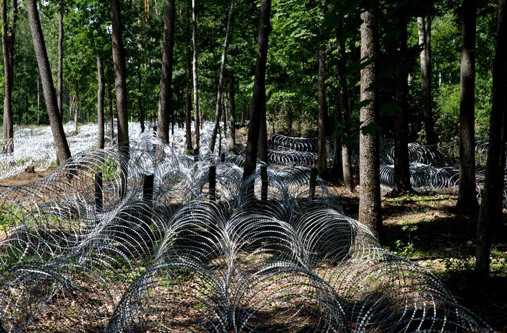 Bodeča žica in druge ovire na meji med rusko Brjansko oblastjo in ukrajinsko Černigovsko regijo.  | Foto: Reuters