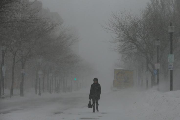 ZDA | Foto: Reuters