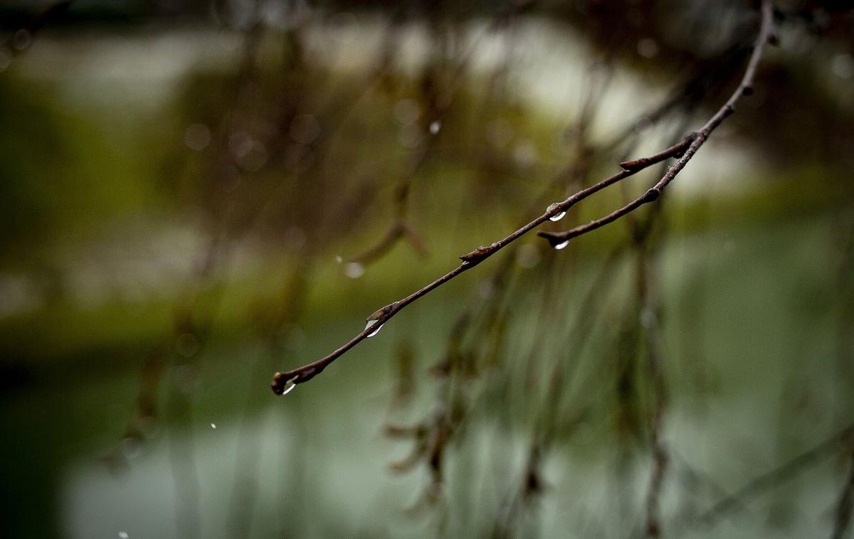 Dež | Foto Ana Kovač