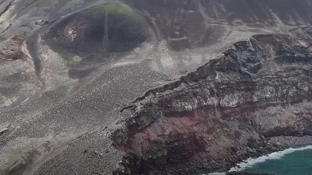 Populacija je drastično upadla in nihče o tem ne govori #video #foto