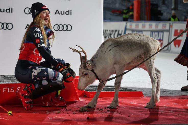Zdaj je popolnila Božičkovo vprego devetih jelenov. | Foto: Guliverimage