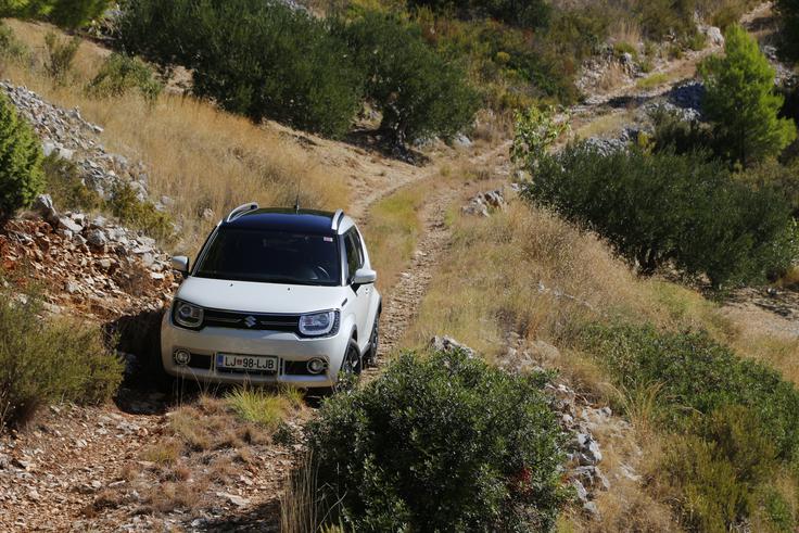 Suzuki ignis se brez težav lahko spopade z grobimi kolovozi. | Foto: Aleš Črnivec
