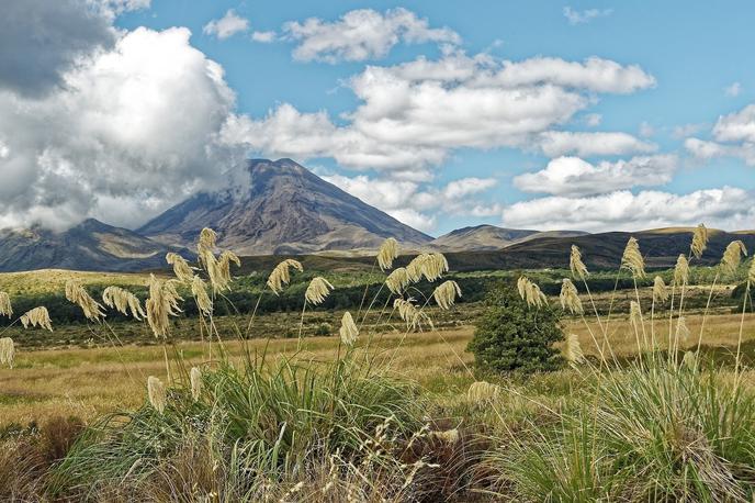 Nova Zelandija | Foto Pixabay