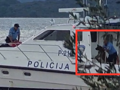 Zgražanje nad policistom, ki je v morje vrgel psa. Kaj se je res dogajalo? #video