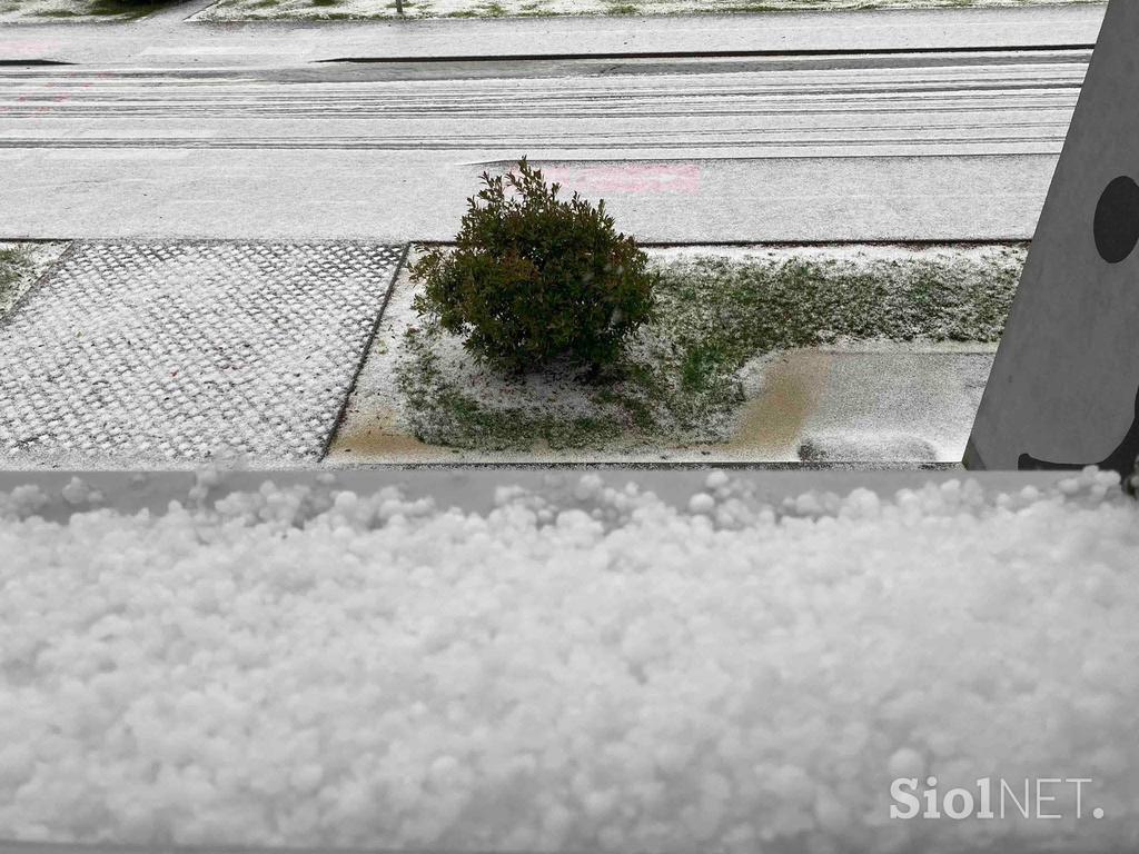 toča Brežice