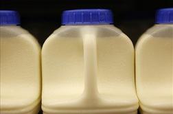 V Argentini klonirali kravo za proizvodnjo človeškega mleka