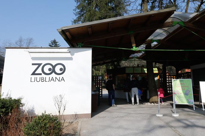 Živalski vrt Ljubljana | Živalski vrt je lani obiskalo okrog 300 tisoč obiskovalcev, | Foto STA