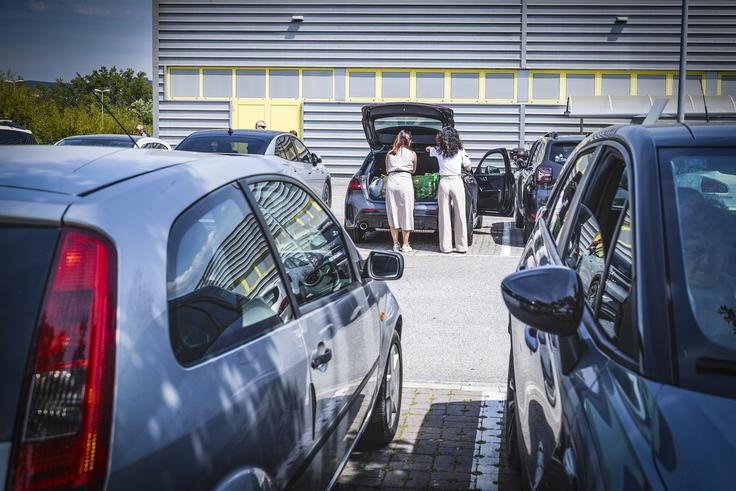 Kupci prihajajo iz cele Slovenije.  | Foto: Ana Kovač
