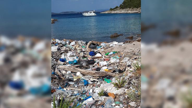 Pogled, ki je osupnil priljubljenega televizijskega voditelja. | Foto: 