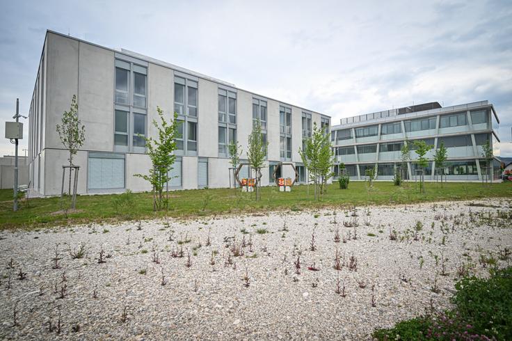 Veliko težavo predstavljajo odpovedi privedb na sodišče zaradi pomanjkanja pravosodnih policistov. Lani je bilo odpovedanih skoraj tri tisoč privedb. | Foto: STA