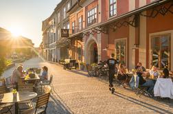 Maribor razglasili za vinsko prestolnico Evrope