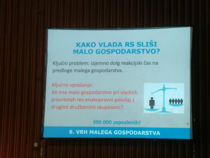 Mala in srednja podjetja v Sloveniji zaposlujejo 390 tisoč ljudi, zato so v GZS prepričani, da bi morala vlada njihove predloge bolj poslušati. | Foto: Siol.net/ A. P. K.
