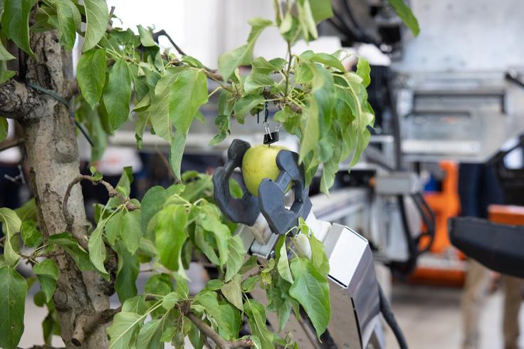 Pek Automotive | Foto: STA