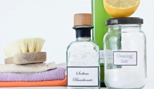 Ekološka čistila za dom
