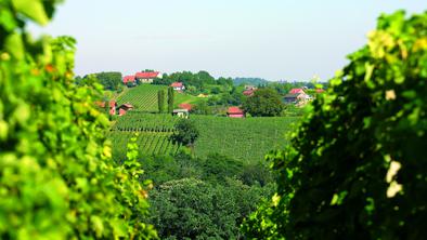 Wine&Walk: pristni užitki Medžimurja tudi v enem dnevu