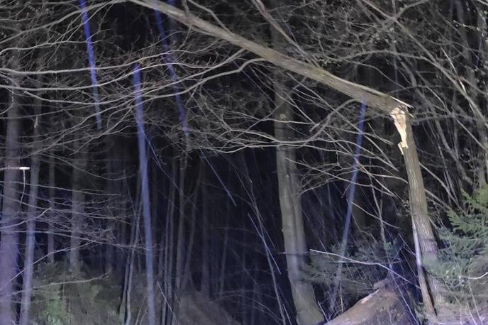 Tržič, veter, vreme, škoda | Sunki burje bodo tudi danes lahko presegli 100 kilometrov na uro.  | Foto PGD Tržič/Facebook