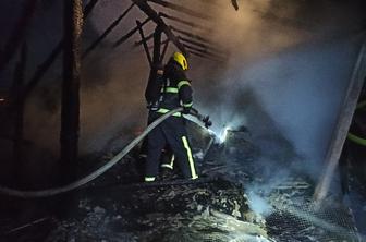 Požar zajel poslopje: poginilo 220 golobov