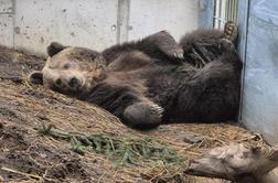 To so v Avstriji njeni najljubši priboljški