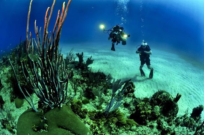 Če boste zavestno dihali, boste lahko dlje časa uživali pod vodo. | Foto: 