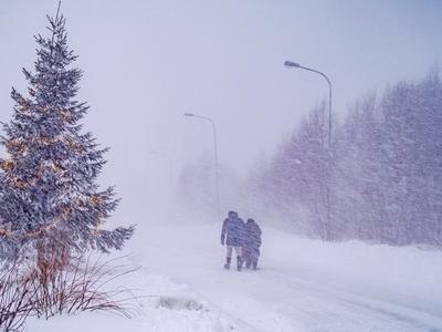 V Skandinaviji divjalo hudo snežno neurje, na Švedskem umrli trije ljudje