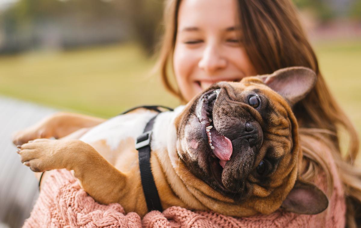 Pes | Japonski raziskovalci so ugotovili, da psi jočejo, ko so čustveno vznemirjeni. | Foto Shutterstock