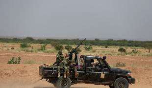 V oboroženem napadu v Nigru ubitih 19 ljudi