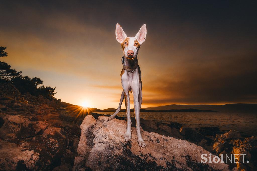 Fotografije Jure Lenarčič - NI ZA OBJAVO